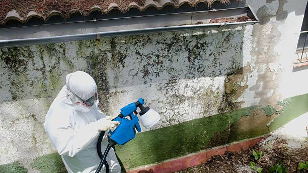 Trusted Mold Testing service in Little Silver, NJ - Cheap Mold Removal